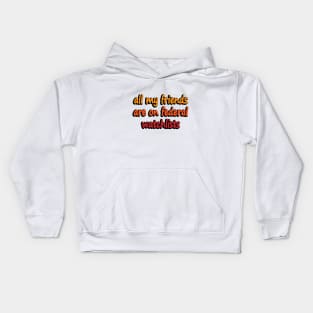 all my friends are on federal watchlists Kids Hoodie
